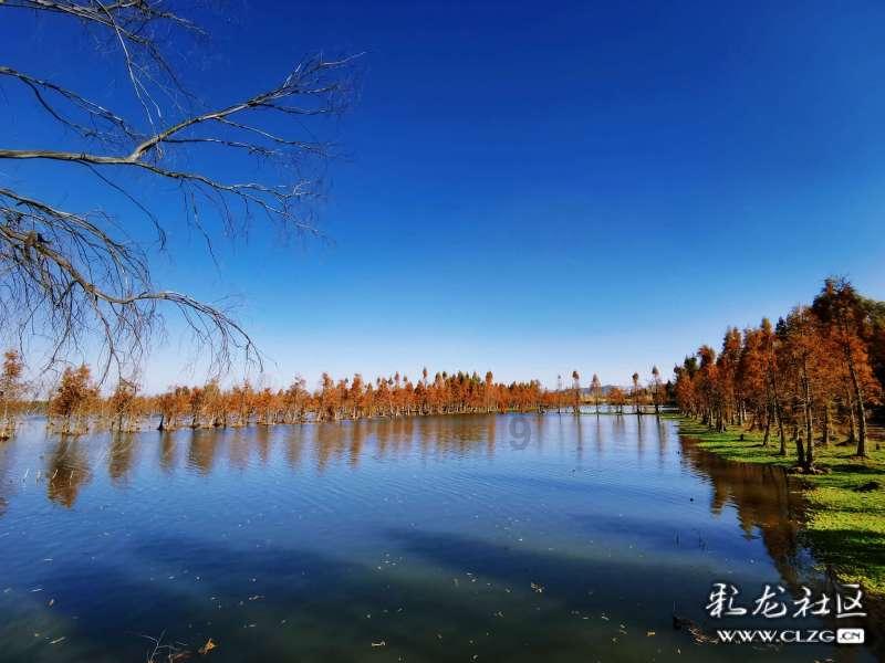 银河证券:2023年海南离岛免税销售仍在修复 等在国内消费市场复苏